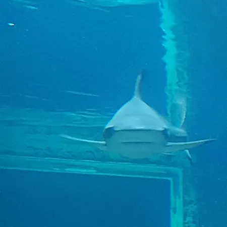 Studio Au Cap D * アグド